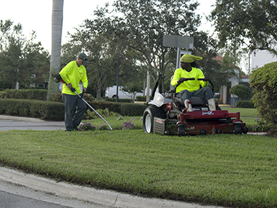 landscape maintenance